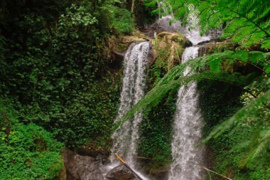Bereketli yeşil orman bitkilerinden akan tropik bir şelale. Seyahat ve doğa içeriği, editoryal kullanım, çevre temaları, macera ve manzara geçmişleri için uygundur.