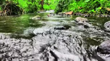 4K sakin bir nehrin doğal görüntülerini rahatlatan, yemyeşil orman boyunca yavaşça akan, pürüzsüz, titreşmeyen çekimler için kararlı bir tripodla yakalanan, meditasyon, ambiyans ve stres rahatlaması için ideal, doğal sesleri sağlayan,