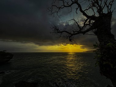 Sahilde güzel bir gün batımı manzarası ön planda dramatik bir kuru mangrov ağacı silueti altın ışığı yansıtan suya ulaşıyor. Karanlık, bulutlu bir akşam gökyüzü karamsar ama sanatsal bir atmosfer yaratır.
