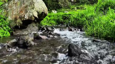 Stabil (üç ayaklı çekim) 4K UHD, doğal orman ortamında nehir kayaları üzerinde yavaşça akan temiz suyun video görüntülerini içeriyor. Orjinal yatıştırıcı (rahatlatıcı ses) ses ile gerçek zamanlı hız, meditasyon veya rahatlama projeleri için uygundur.