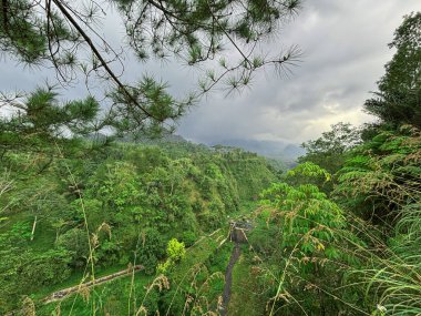 Dağları ve arka planında bulutlu gökyüzü olan yemyeşil bir tropikal orman vadisi. Seyahat ve turizm içeriği, çevre temaları, editoryal kullanım ve doğa manzarası için elverişli.
