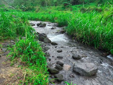 Yeşil bitki örtüsüyle çevrili kayaların üzerinden akan küçük bir nehir. Doğa ve seyahat içeriği, çevre temaları, editoryal kullanım ve manzara geçmişi için uygundur.