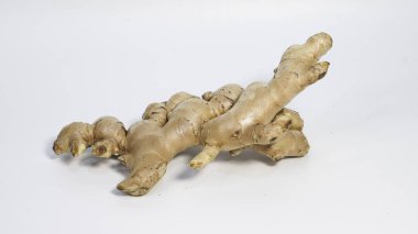 Beyaz arka planda izole edilmiş taze organik zencefil kökü doğal dokusunu ve şeklini gösteriyor. Mutfak tarifleri, sağlık ve sağlık içeriği, bitkisel ilaçlar, gıda ürünü reklamcılığı ve e-ticaret kullanımları için uygundur..