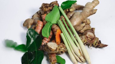 Beyaz bir stüdyo arka planında limon otu, zerdeçal kökü, zencefil, galangal ve kaffir kireç yaprakları içeren taze Asya bitkilerinin bir karışımı. Tayland, Endonezya ve Malezya mutfağında kullanılan yaygın Güneydoğu Asya yemek malzemeleri.