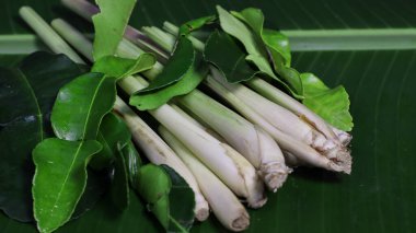 Muz yaprağı arka planında doğal yeşil yapraklarla sarmalanmış taze limon otu sapları. Endonezya ve Güneydoğu Asya mutfağında yaygın olarak kullanılan tropik bitkiler, bitkisel içecekler ve geleneksel sağlık ilaçları..