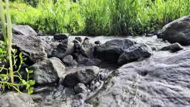 Orjinal su sesi ile kayaların üzerinden akan huzurlu bir nehir akıntısının 4K görüntüsü. Pürüzsüz ve kararlı çekim rahatlatıcı bir atmosfer yaratıyor, meditasyon, rahatlama, refah, doğa geçmişi ve stres giderici içerik için ideal.