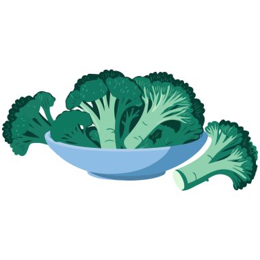 Brokoli sağlıklı sebze izole edilmiş beyaz arkaplanda vektör çizimi