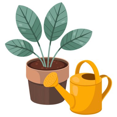 Çiçek izole edilmiş vektör resimli çöl bitkisi