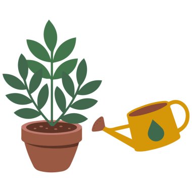 Çiçekli kaktüs çizimi izole edilmiş vektör çizimi