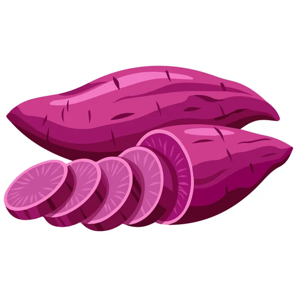 tatlı patatesler sağlıklı yiyecekler beyaz arka planda izole edilmiş vektör çizimleri