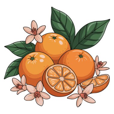 Yapraklı ve çiçekli portakallar çizilmiş.
