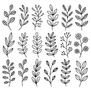 şirin yaprak modern karalama simgesi beyaz arkaplan üzerine izole vektör illüstrasyonunu ayarla