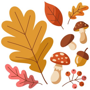 Sonbahar meşe palamudu yaprakları elle çizilmiş vektör izole edilmiş beyaz arkaplan