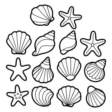Deniz kabuğu koleksiyonu. Deniz altı yaşamı. Yaz mevsimi plaj teması.