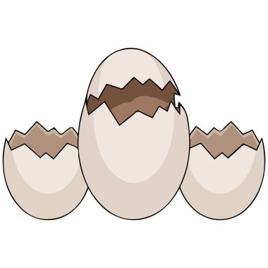 Sürüngen yumurtalarının yarısı kumsalda gizlidir.