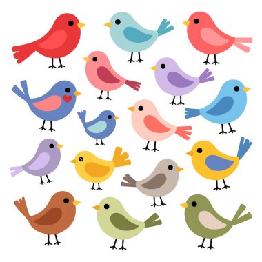 Sevimli kuşlar vahşi yaşam taşıyıcısı topluyor.