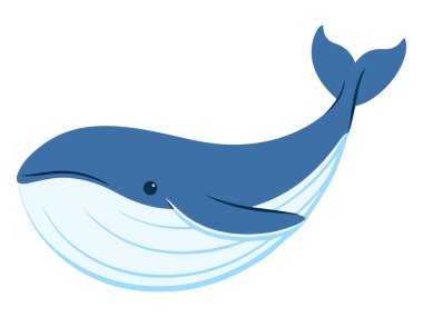 Deniz Hayvanı Balinası Deniz Yaşamı