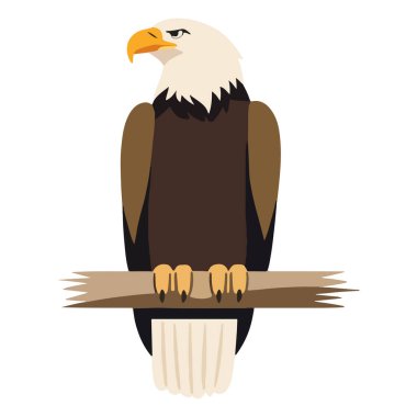 Kartal Kuşları Uçuyor ve Oturan Kel Kartallar