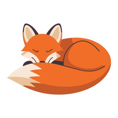 Farklı Pozisyonlarda Tilki Seti Vahşi Kızıl Tilki