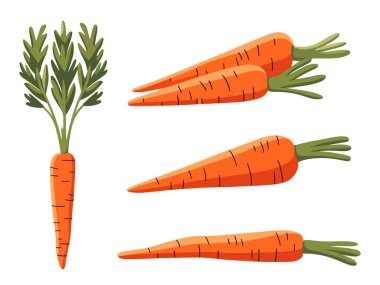 Beyaz arka planda tüm ve dilimlenmiş havuç