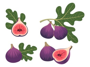 İnce derili ve ince tohumlu tam ve dilimlenmiş incir meyvesi