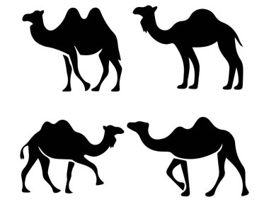 Deve Siluetleri Seti Çeşitli Pozisyonlar
