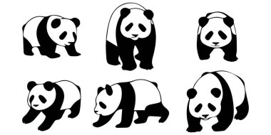 Renkli Arkaplanlar Üzerine Şirin Panda Vektör Resimleri