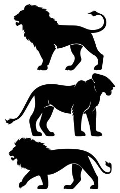 Aslan Silueti Görkemli Vahşi Yaşam ve Safari Simgesi