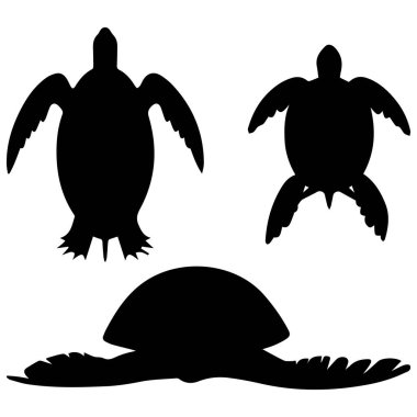 Kaplumbağa Silueti Tasarım Koleksiyonu