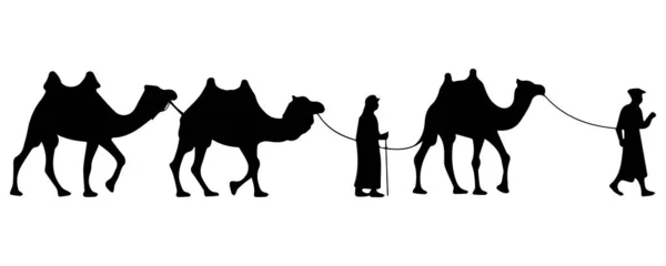 Beyaz Arkaplanda Deve Resimleri