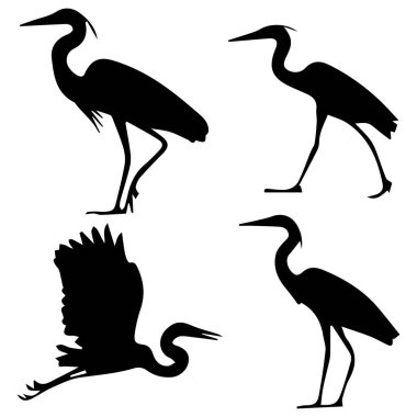 Heron Siluetleri Çizim Ayarları