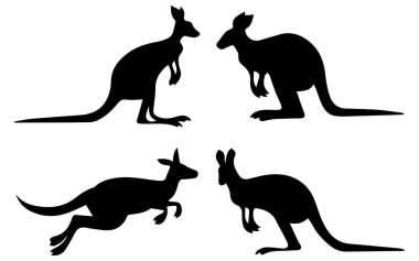 Kanguru Siluet Vektör Resimleri