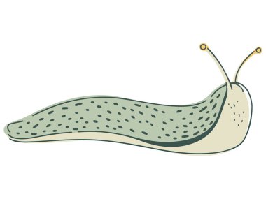 Beyaz Arkaplanda Yeşil Sümüklüböceğin Düz Çizimi