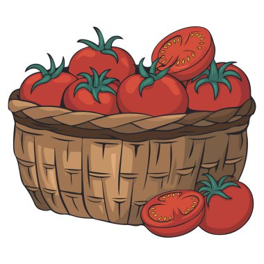 Büyük Kahverengi Sepette Domateslerin Çizgi Filmi