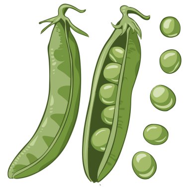 Düz Tasarımda Yeşil Bezelyelerin Vektör Çizgi Filmi