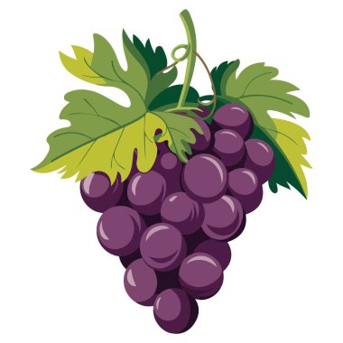 Yapraklı Mor Üzümler