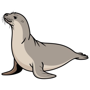 Şirin fok simgesi çizgi film vektör çizimi