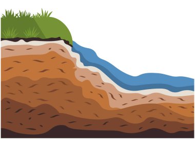 Bir göletin su bitkileriyle kesiştiği yer