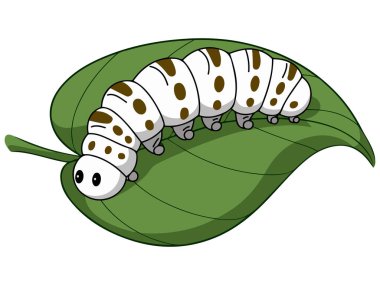 Yaprak üzerinde ipek böceği