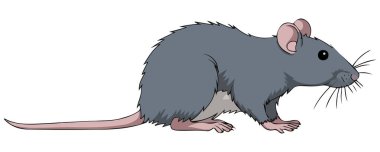 Vahşi kahverengi fare vektörü