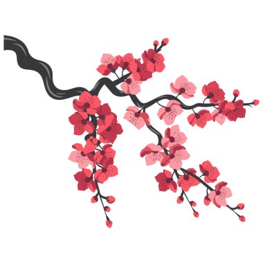 Beyaz arkaplanda kiraz çiçekleri dal izole vektör çizimi