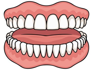 Diş simgesi olan çene