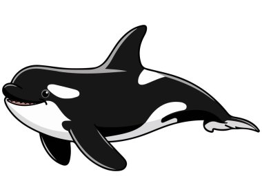 Katil balina çizgi filmi beyaz arka planda izole vektör çizimi