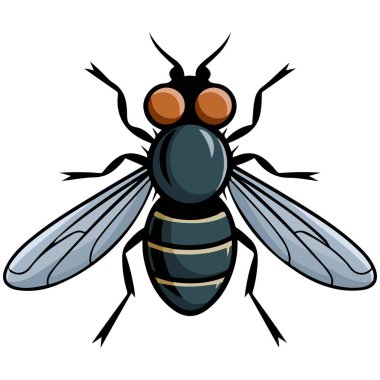 Ev sineği böceği vektörü
