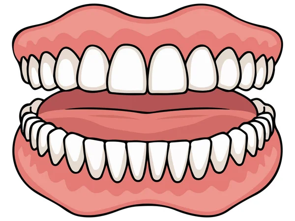 Diş simgesi olan çene