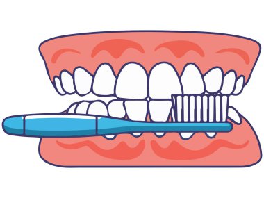 Dişleri fırçalayan kişi beyaz arka planda izole edilmiş gülümseme vektör çizimi