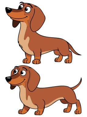 Dachshund köpekleri beyaz arkaplanda karikatür izole edilmiş vektör çizimi yapar