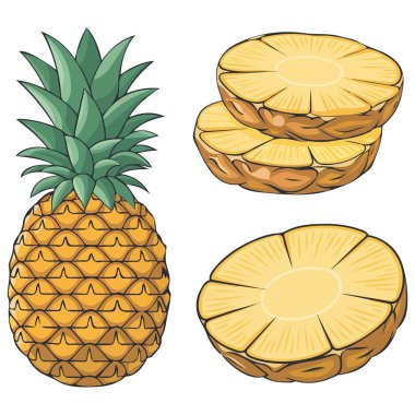 sulu ananas sağlıklı ferahlatıcı atıştırmalık beyaz arka planda izole edilmiş vektör çizimi