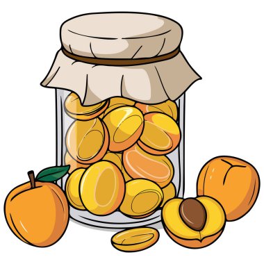 apricot jam jar fresh fruit isolated vector illustration on white background