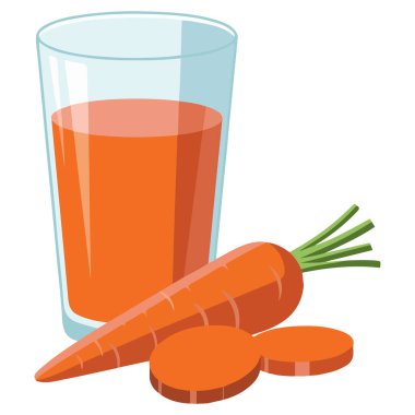 Vejetaryen havuç, beyaz arka planda soyutlanmış vektör illüstrasyonunda çiğ gıda içer